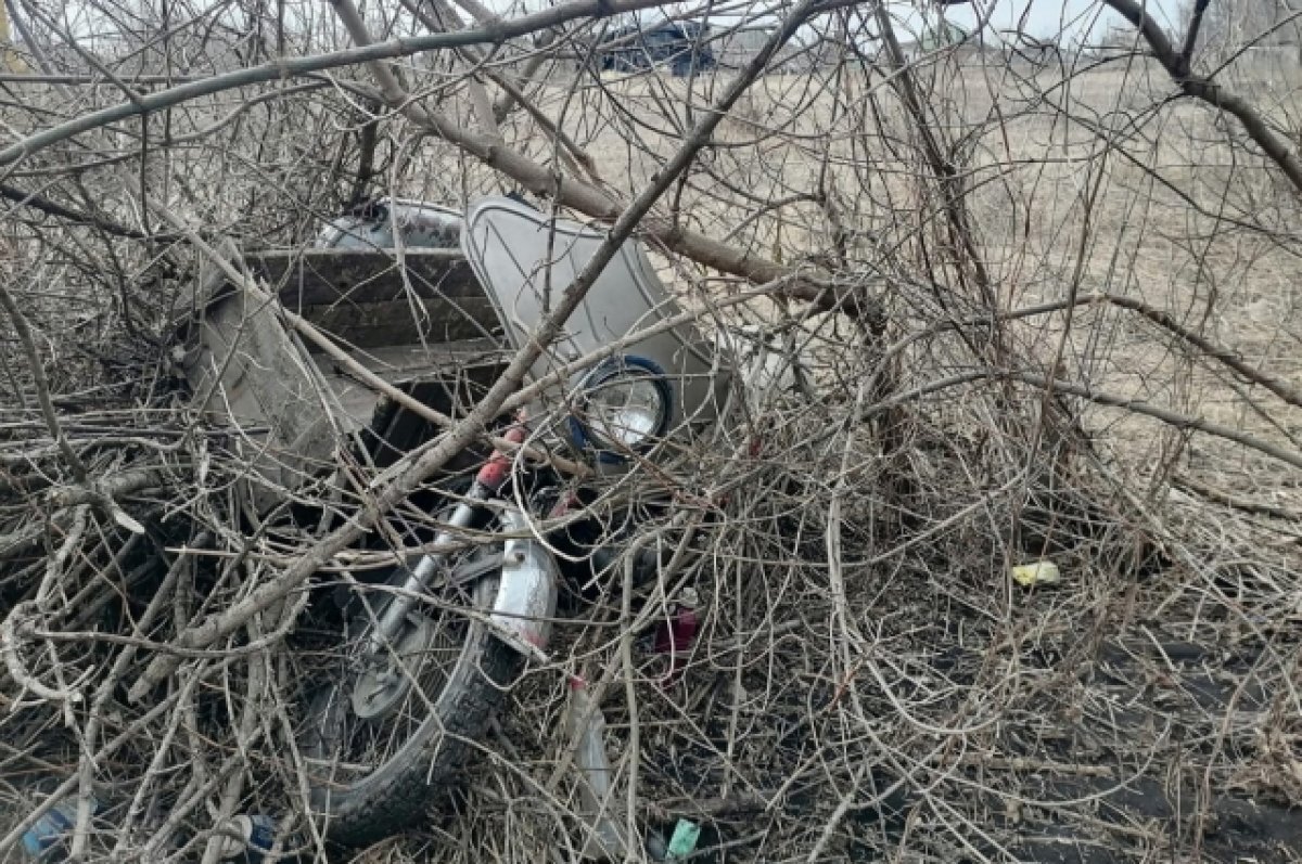    В Воронежской области за сутки произошло 99 ДТП