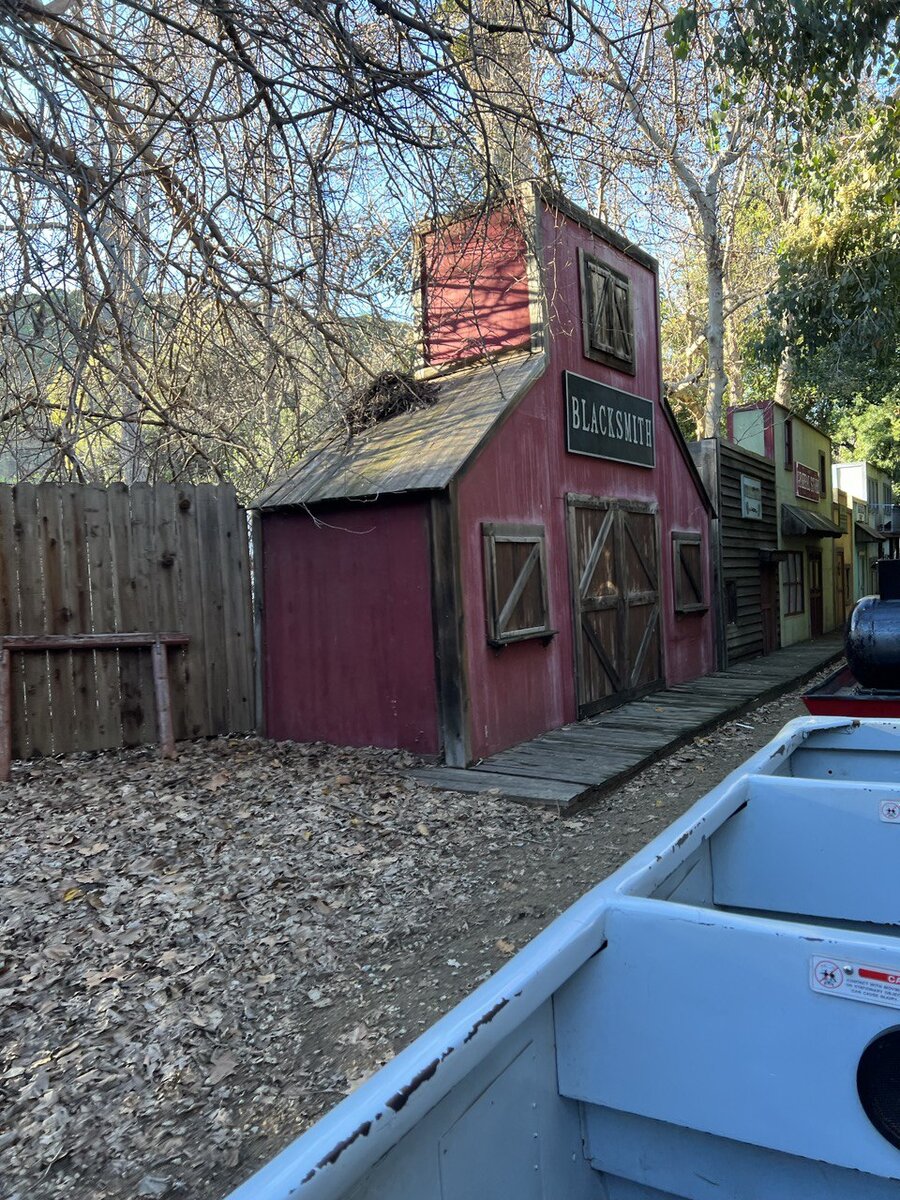 Парк в Лос-Анджелесе. Америка. Личные фото