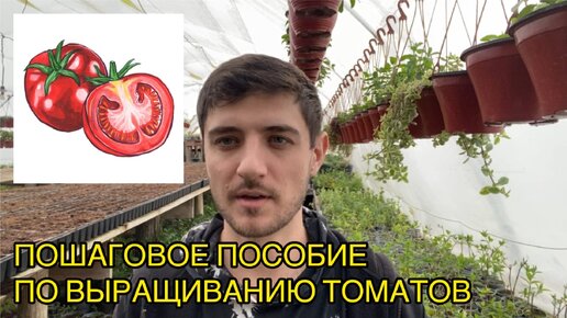 Методичка по выращиванию томатов от А до Я для начинающих