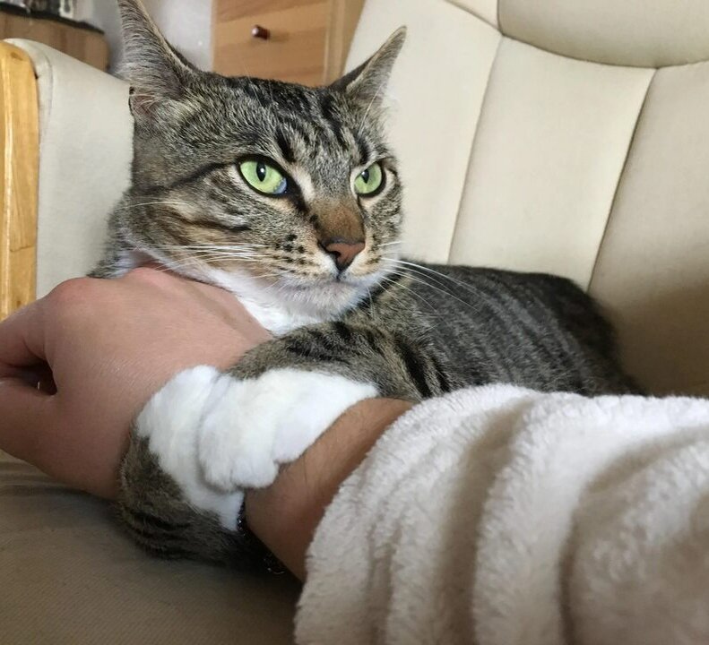 Источник: Яндекс картинки