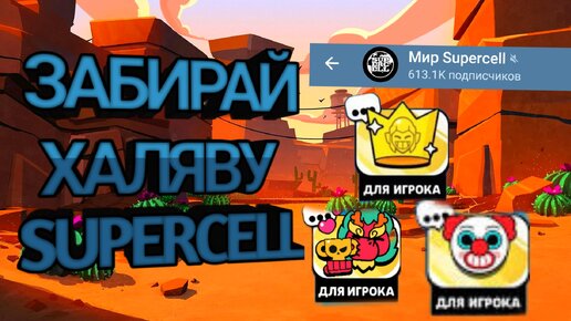 браво из бравл старс. разработчики brawl stars. эш браво старс арт. создатель браво старс. герои игры бравл старс.