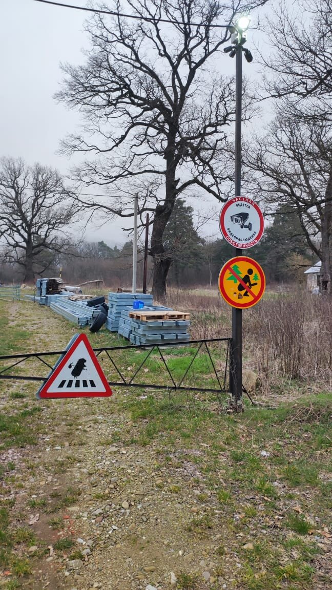 Знаки позабавили