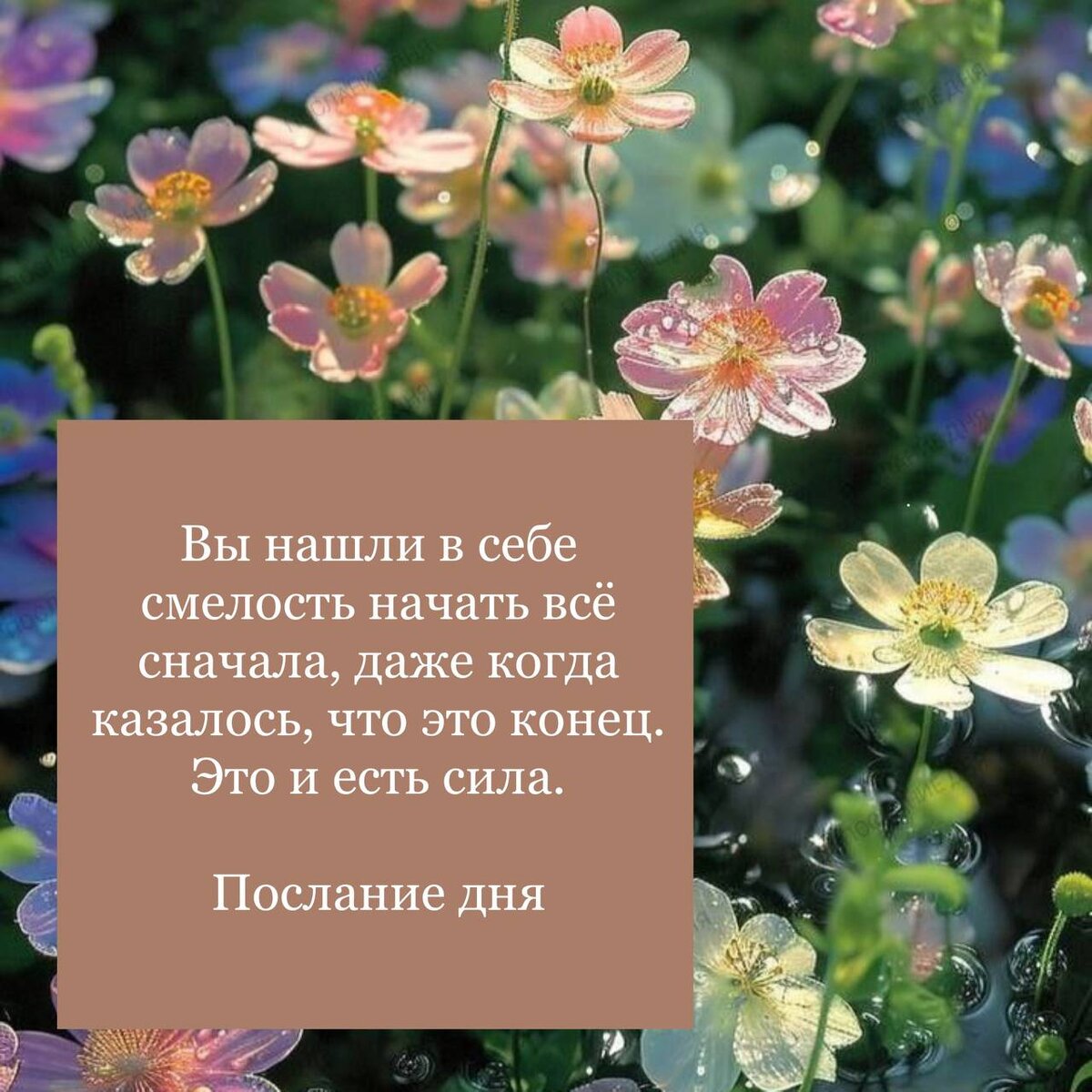 Фото из Сети