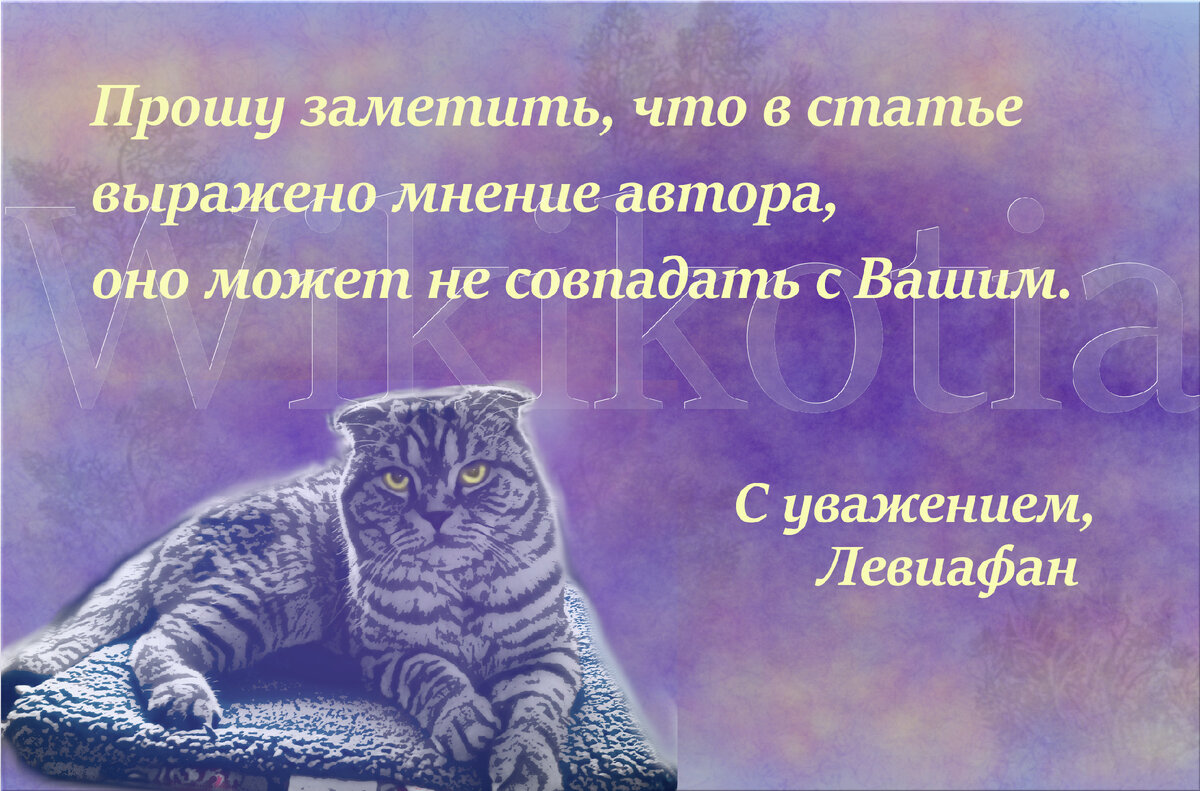 Здравствуйте, дорогие читатели. Далее по списку разборов бренд Avance, состав для чувствительного пищеварения. На волне все новых и новых запретов у нас появляется множество брендов.