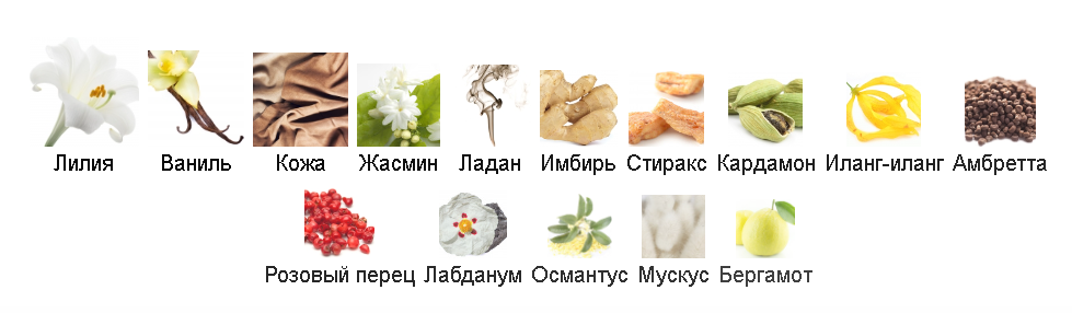 Аромат роскоши, густые белые лилии, одних сводят с ума от красоты, других с ума от аллергии и головной боли...