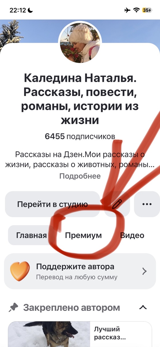 Вот сюда нажимаете и далее на «Финальные главы»