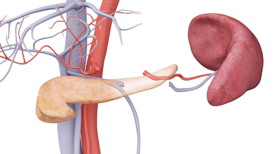   Cancer Center / YouTube, 2023