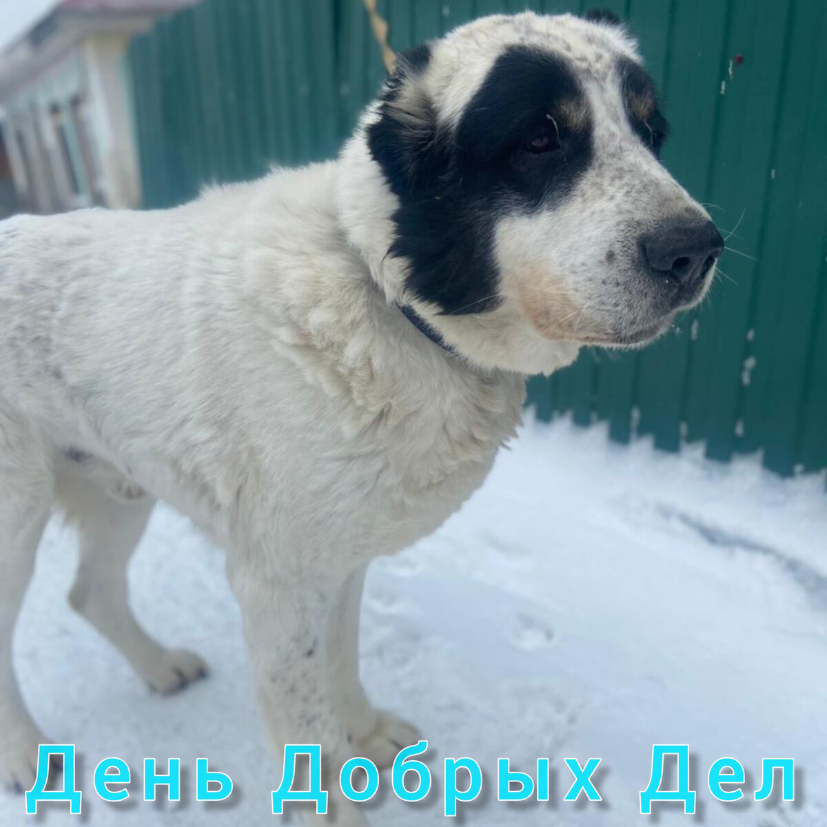 Бархан