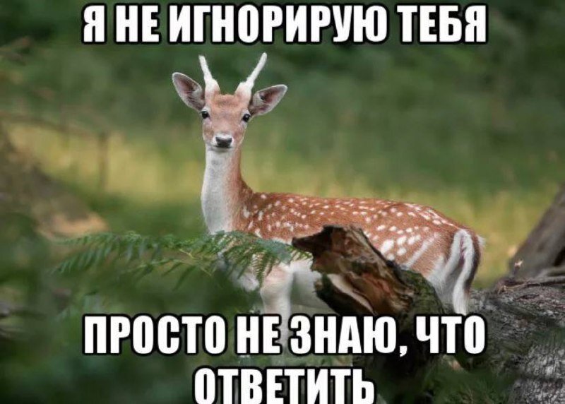 Яндекс-картинки