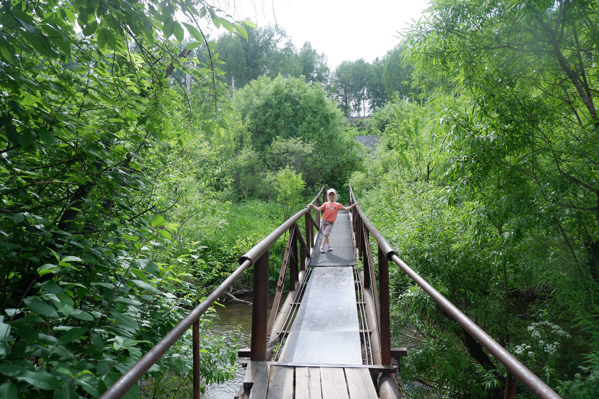 Мост через реку Издревая