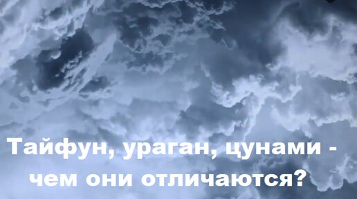 Тайфун, ураган и цунами — чем они отличаются?