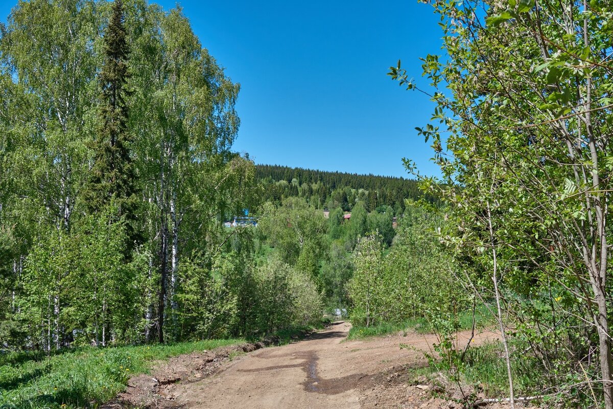 Фото сделано другом автора