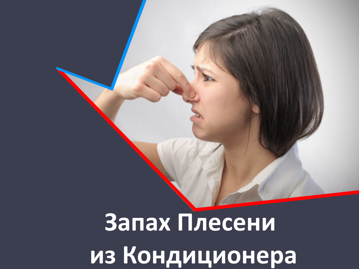 Запах Плесени из Кондиционера: Причины и Решения | AirCare - Сплит- Системы  и не только. Установка - Обслуживание - Ремонт | Дзен