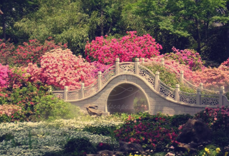 Розовый сад в Японии