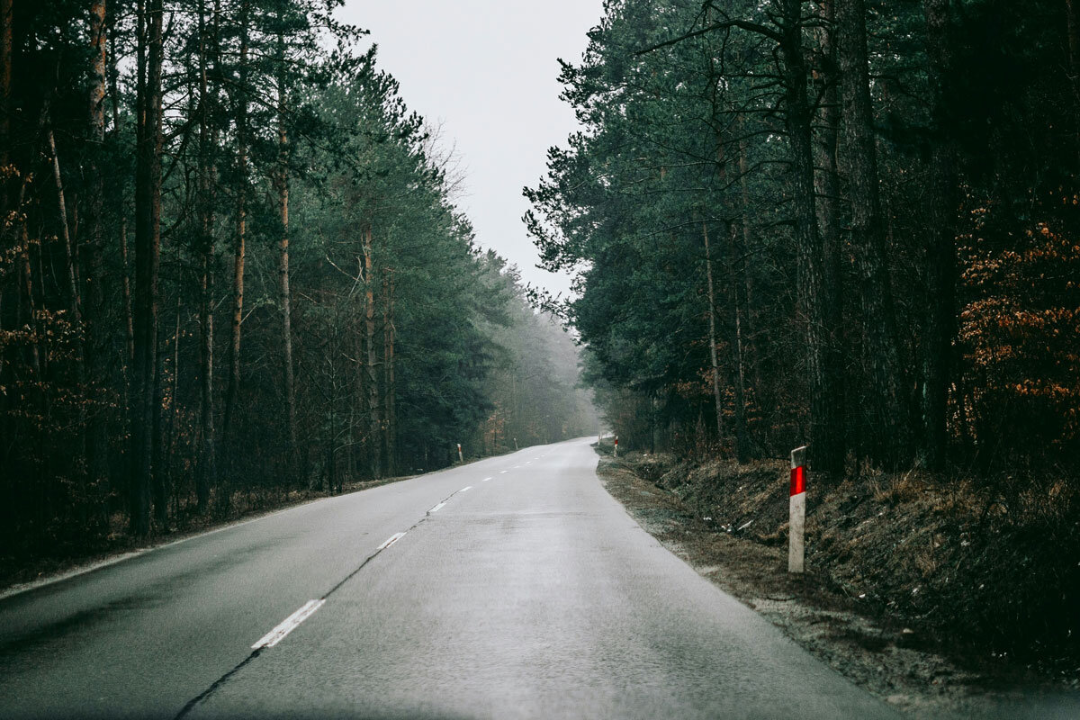    Фото: Sebastian Pociecha / Unsplash.com