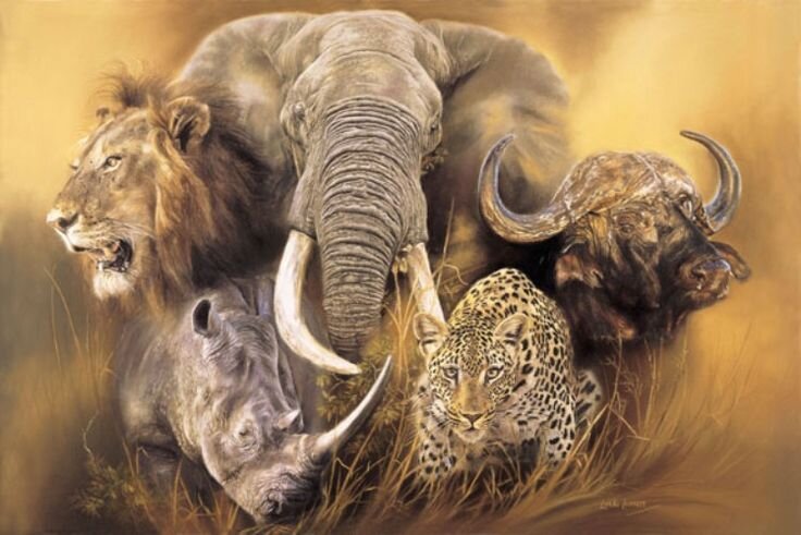 Лев, леопард, носорог, слон и африканский буйвол 