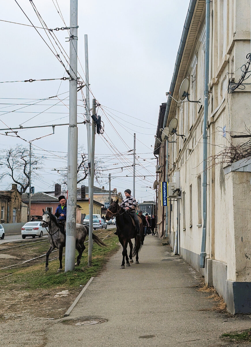 День выборов в Пятигорске. | Путешествия Ольги из Пятигорска | Дзен