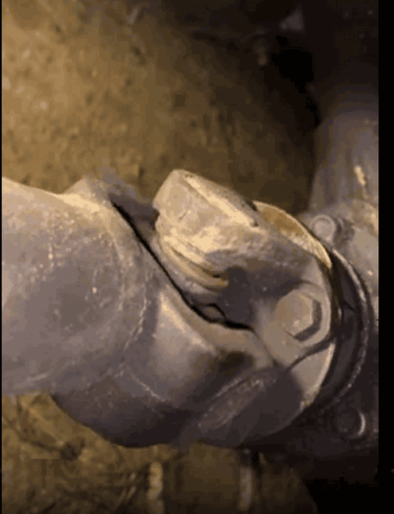 Фото автора. Этот механизм ассоциируется с работой организации...