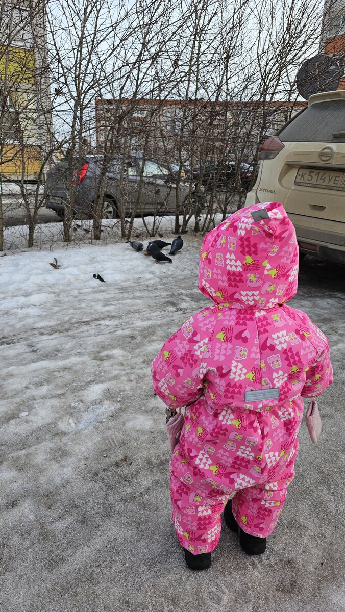 Покормила, сделала доброе дело, плюсик к карме))