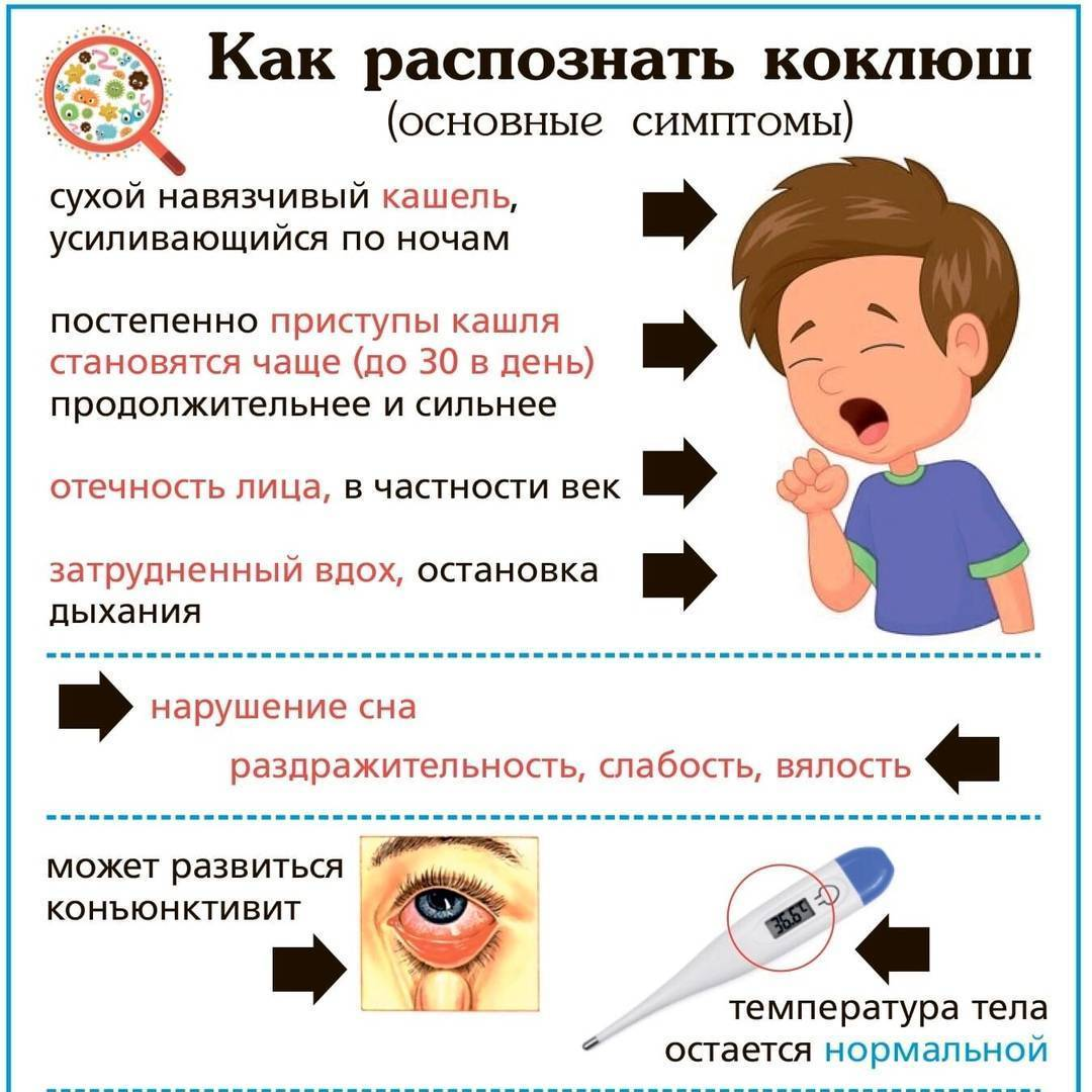 Коклюш у детей: особенности инфекции, чем опасен кашель с репризами? | О  детском здоровье: с врачебного на родительский | Дзен