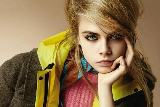    В Лос-Анджелесе полностью сгорел роскошный особняк супермодели Кары Делевинь