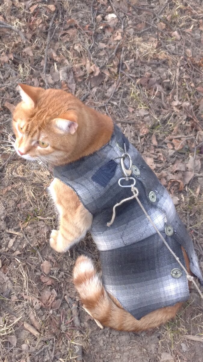 Ребёнок замерз на улице. Сон зимой на улице в детском саду. Забыть гулять. Красота простых вещей. Прогулки в парках.