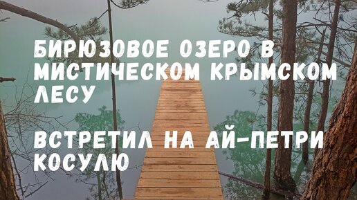 Бирюзовое озеро в мистическом крымском лесу.Косуля на Ай-Петри.