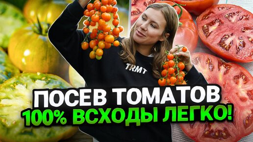 ПОСЕВ ТОМАТОВ НА РАССАДУ, 100% РЕЗУЛЬТАТ ЛЕГКО И ПРОСТО