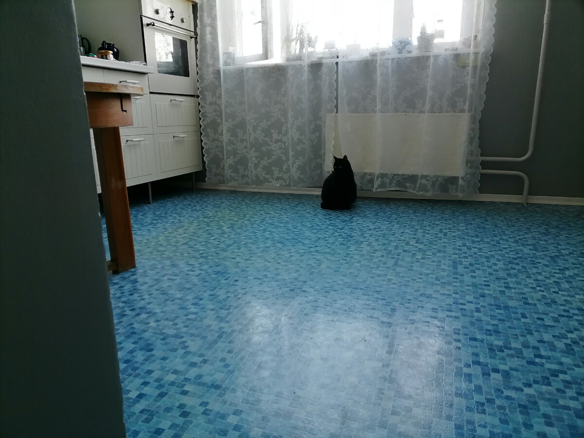 Освободила пол на кухне. Готовлю всё к покраске