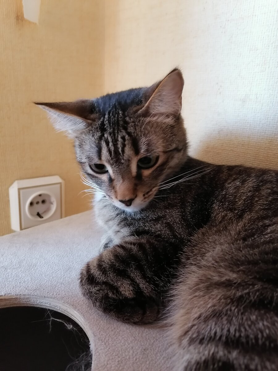 Фото автора