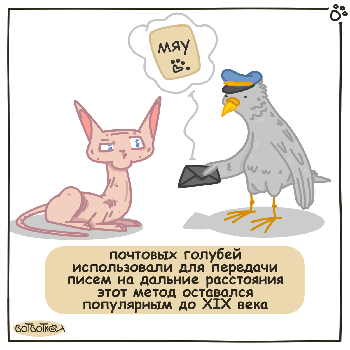 котики и голуби комикс
