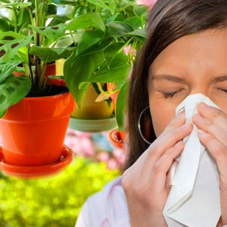 избегайте источников аллергии