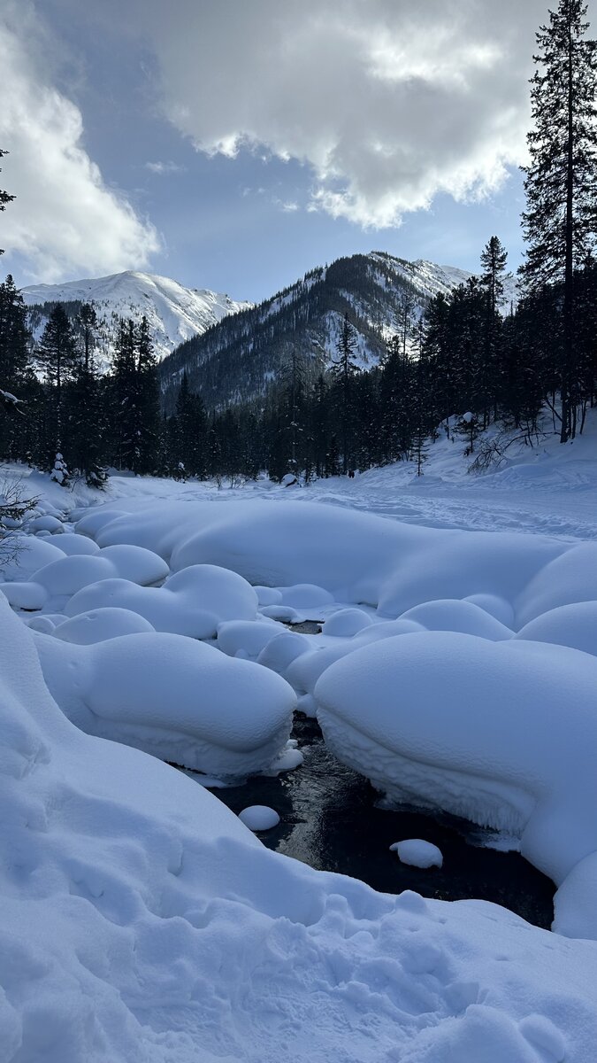 Мамай, март 2024