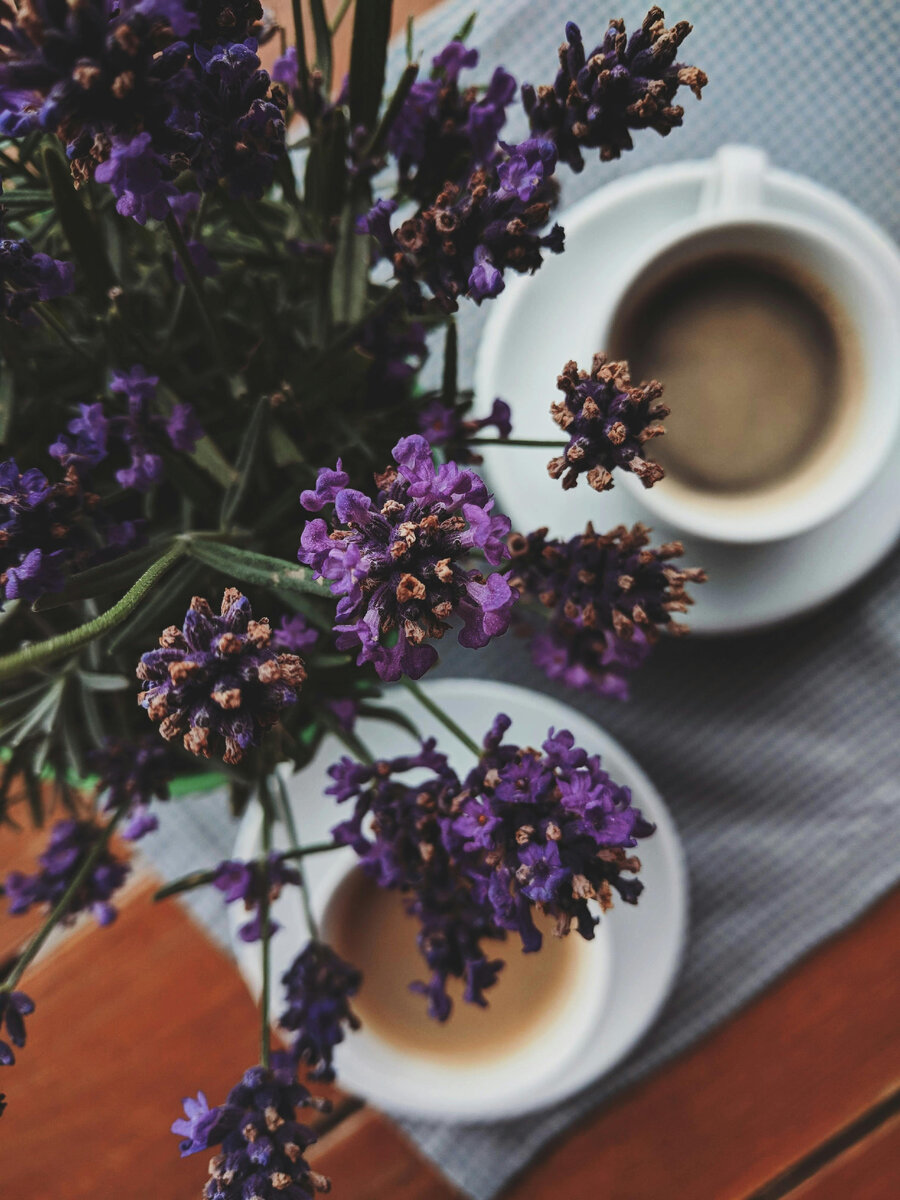 фото:https://www.pexels.com/ru-ru/