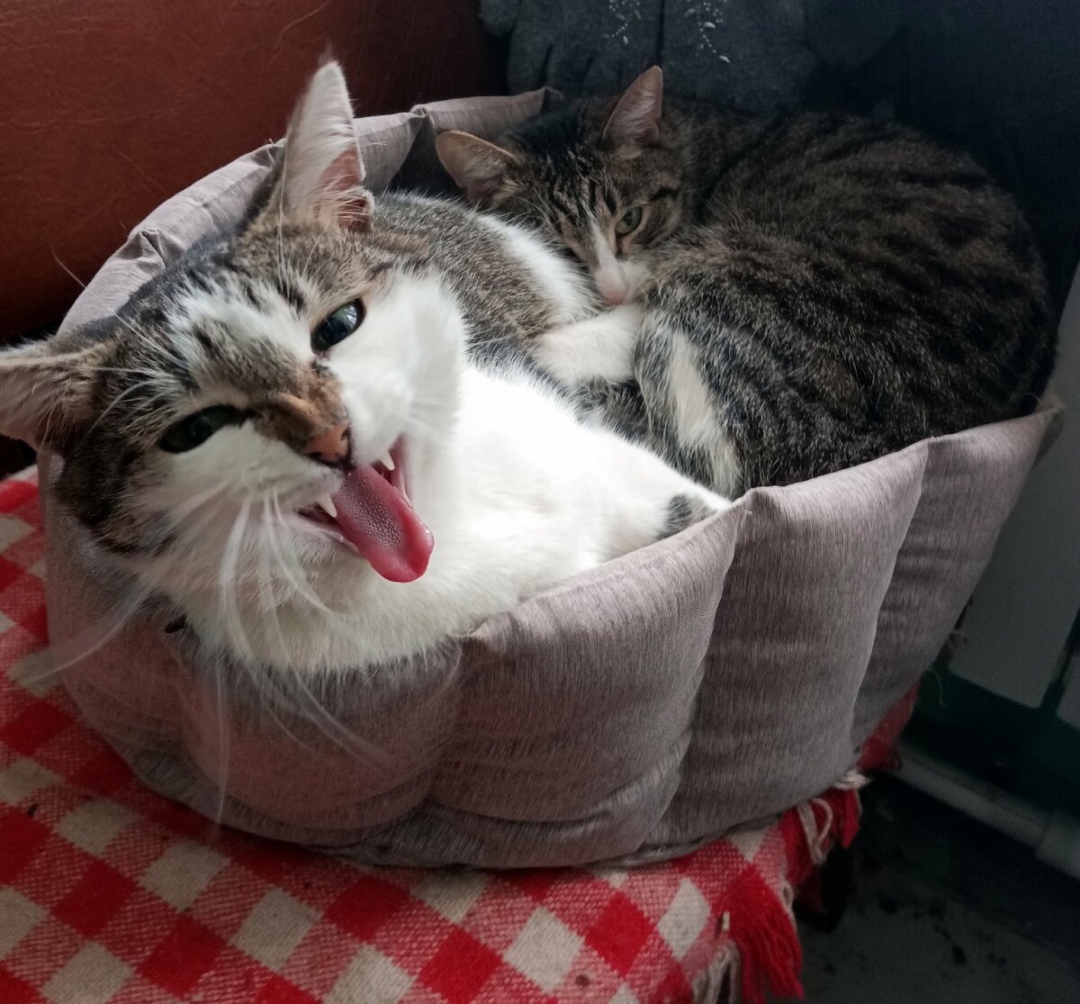 На переговоры с кредиторами лучше всего отправлять директора Васю!