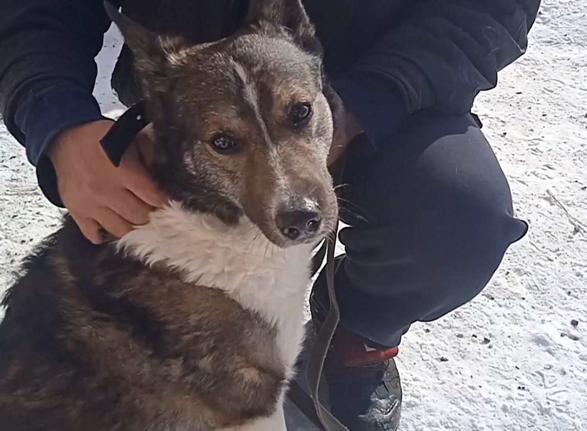 Я хороший. Вы просто все неправильно поняли