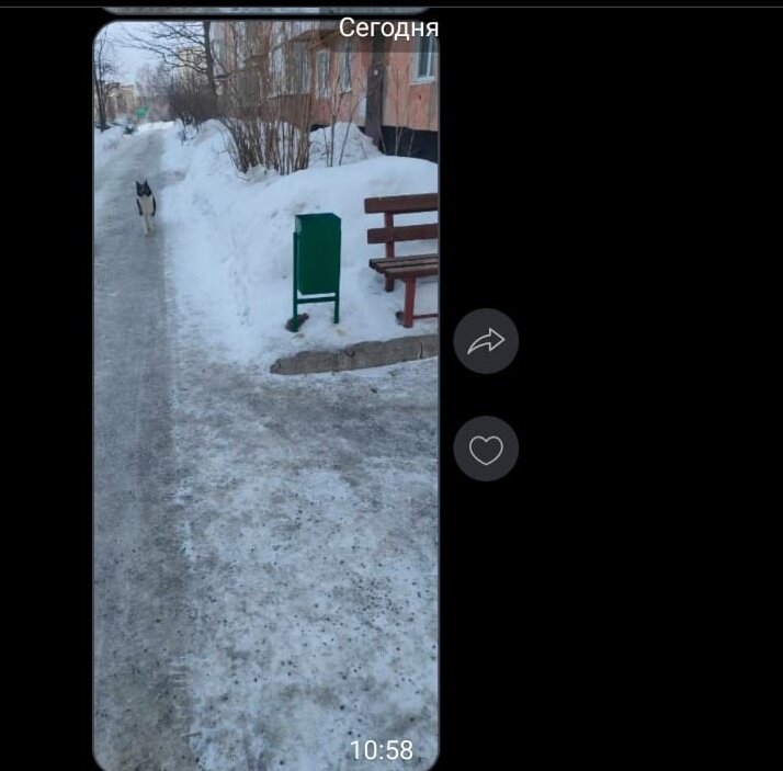 Пришел к невесте