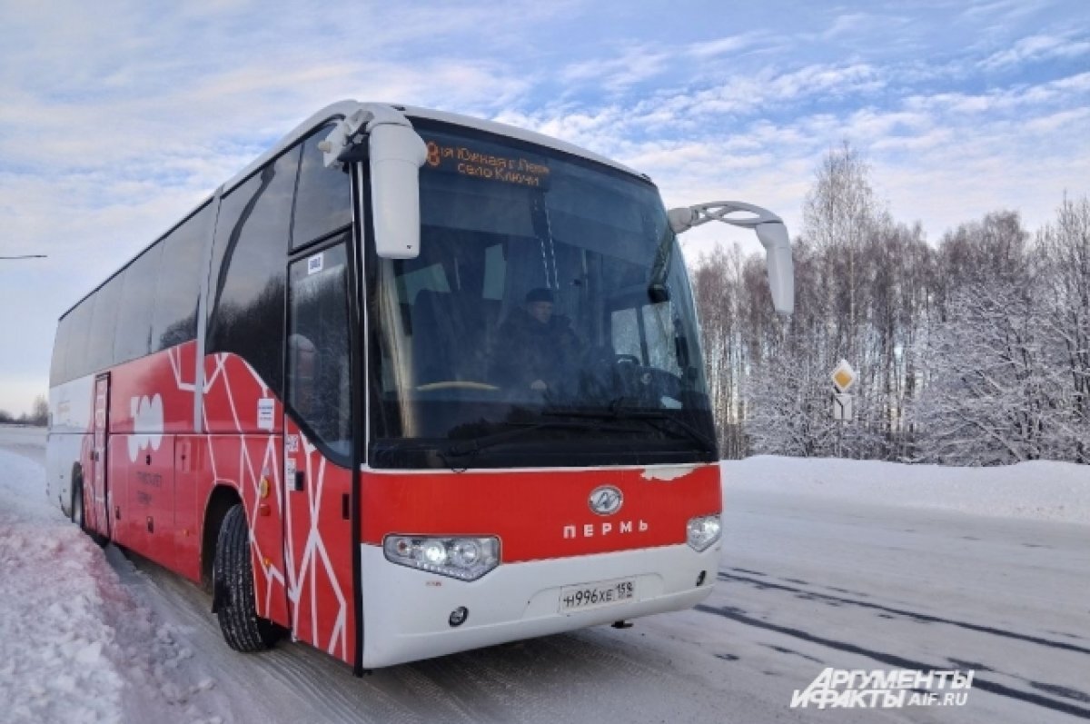 В Пермском крае 10-летнюю девочку высадили из автобуса на трассе | АиФ–Пермь  | Дзен