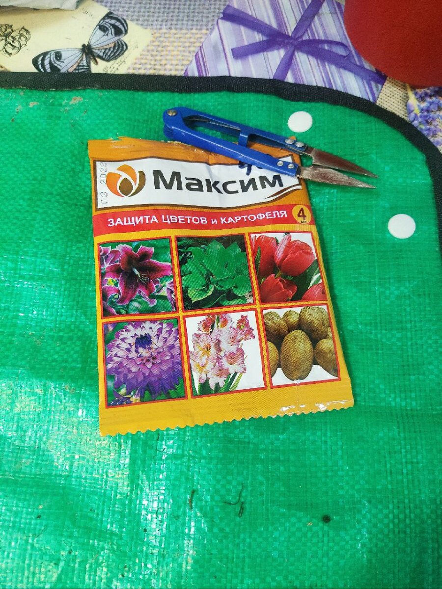 Можно взять обычную марганцовку.