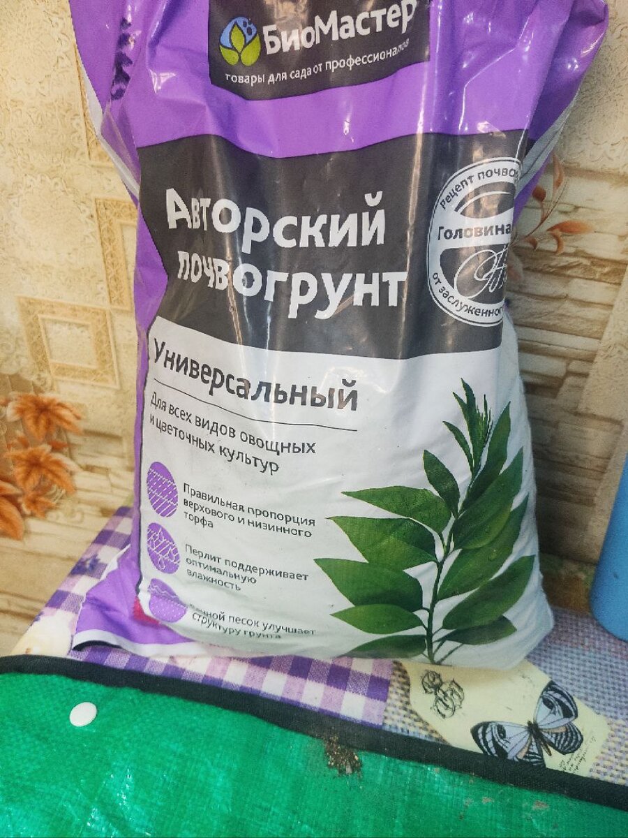 Когда лень самой замешивать грунт.