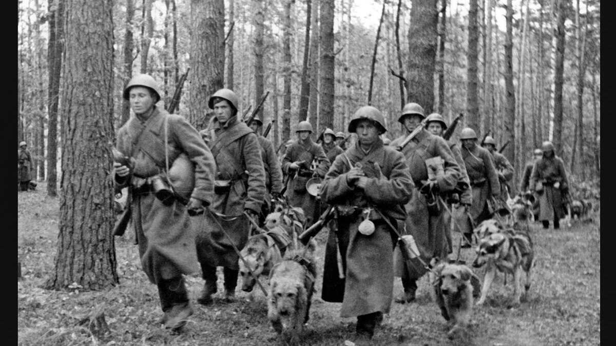 Фото из интернета 