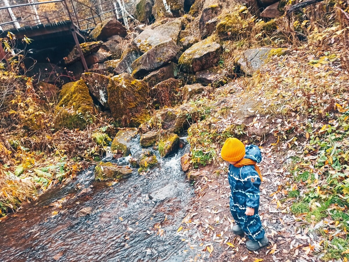 Фото автора.