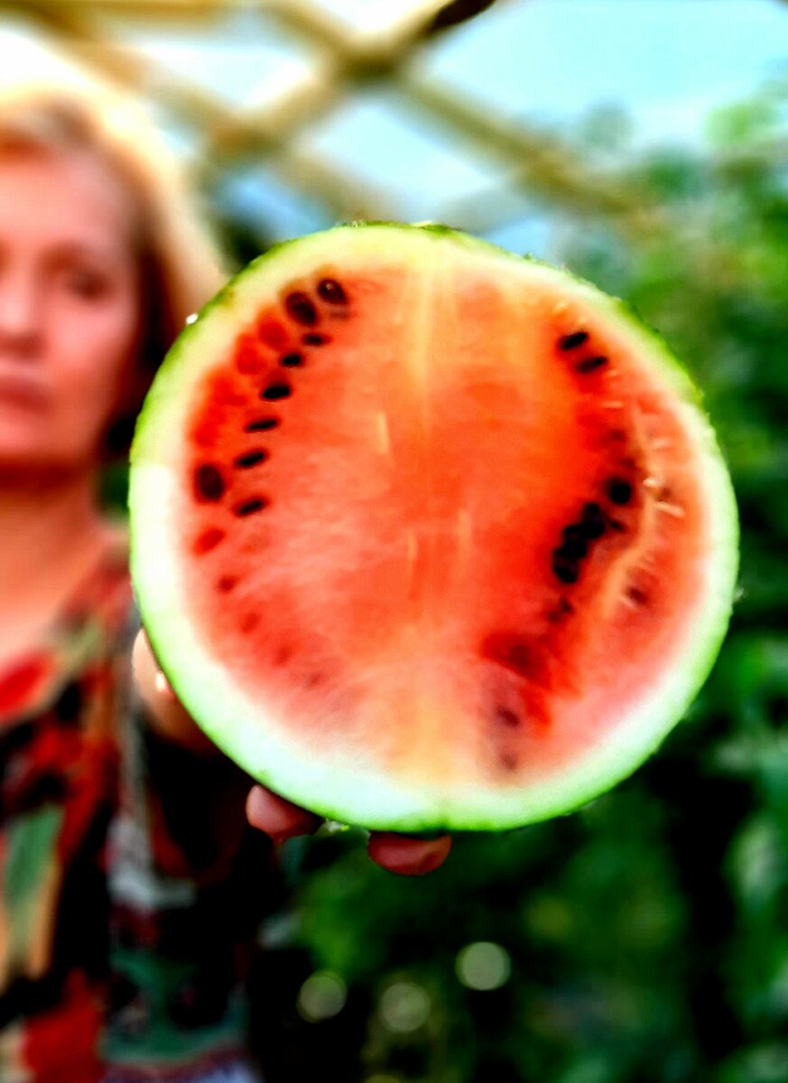 Фото автора.