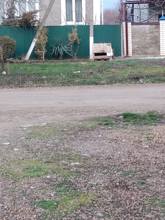 Фото автора. Собачья будка на придомовой территории.