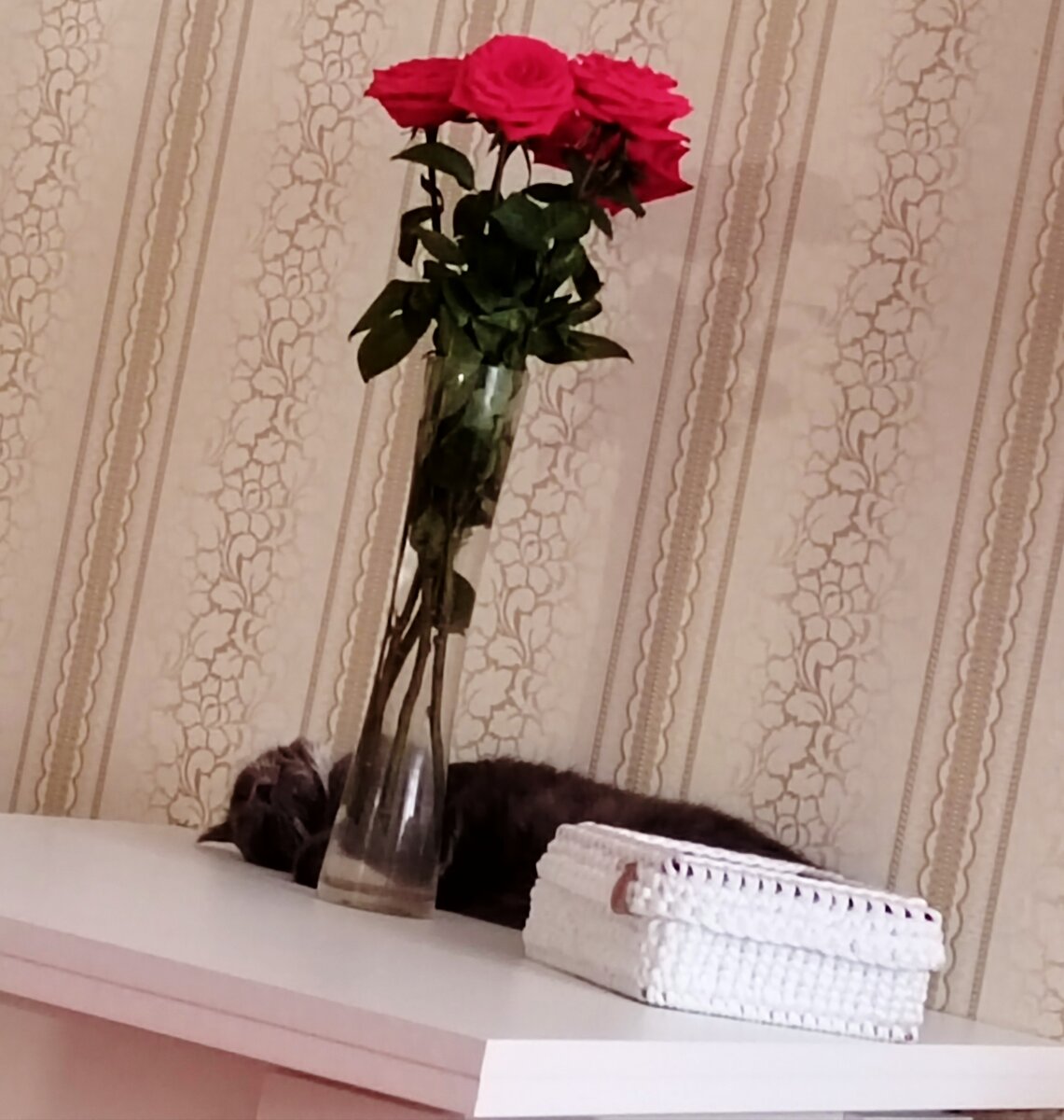 Фото автора канала.