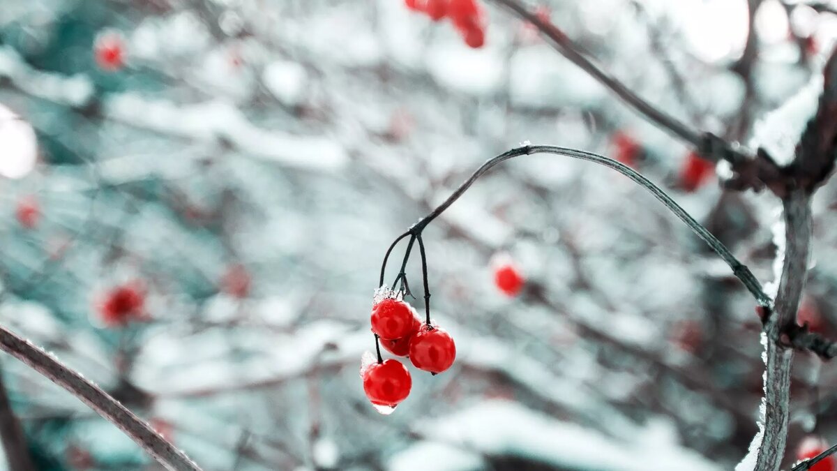     Синоптики Башгидрометцентра сообщили прогноз погоды в регионе на ближайшие дни.