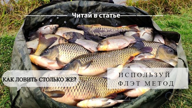 Как увеличить улов?