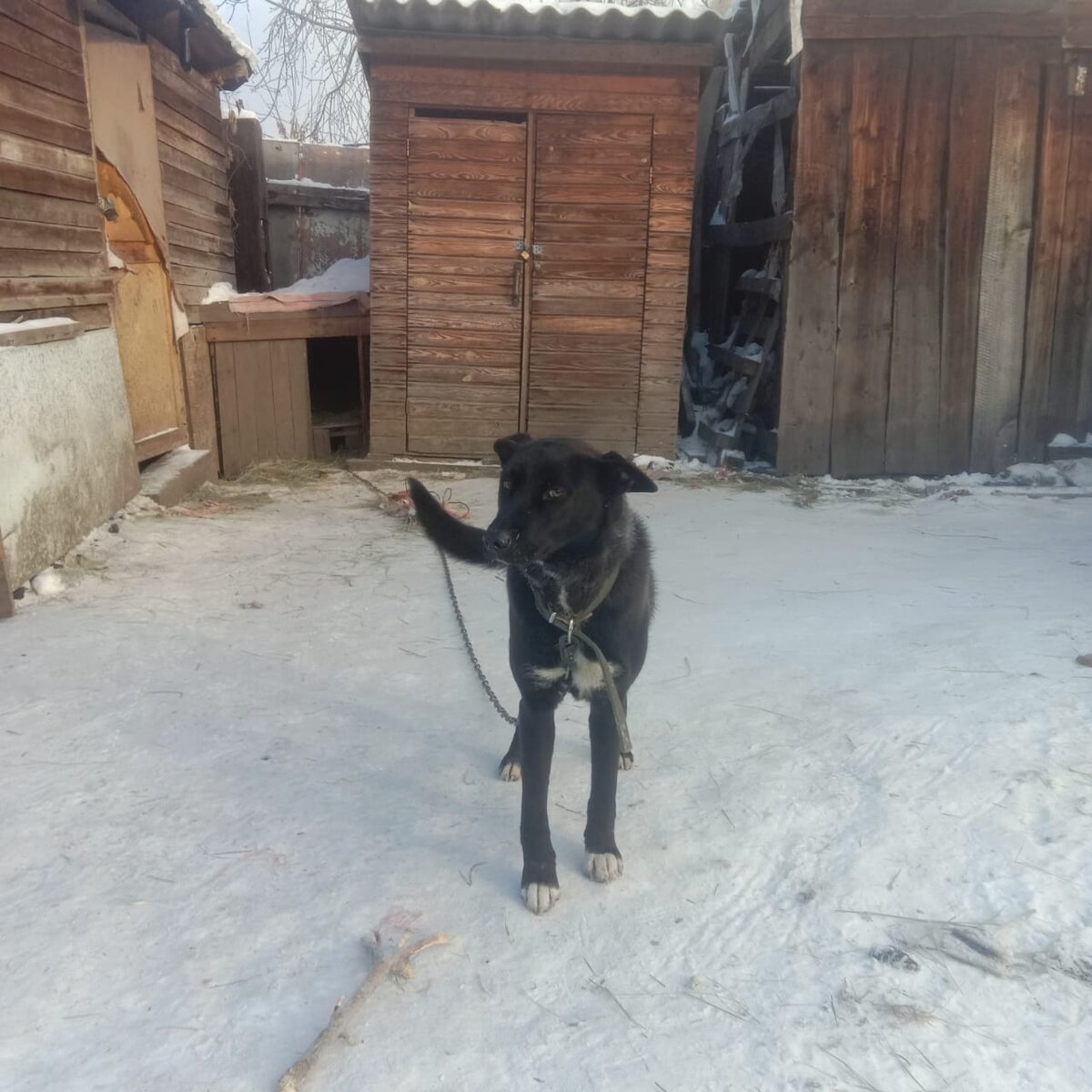 Тина/Герда