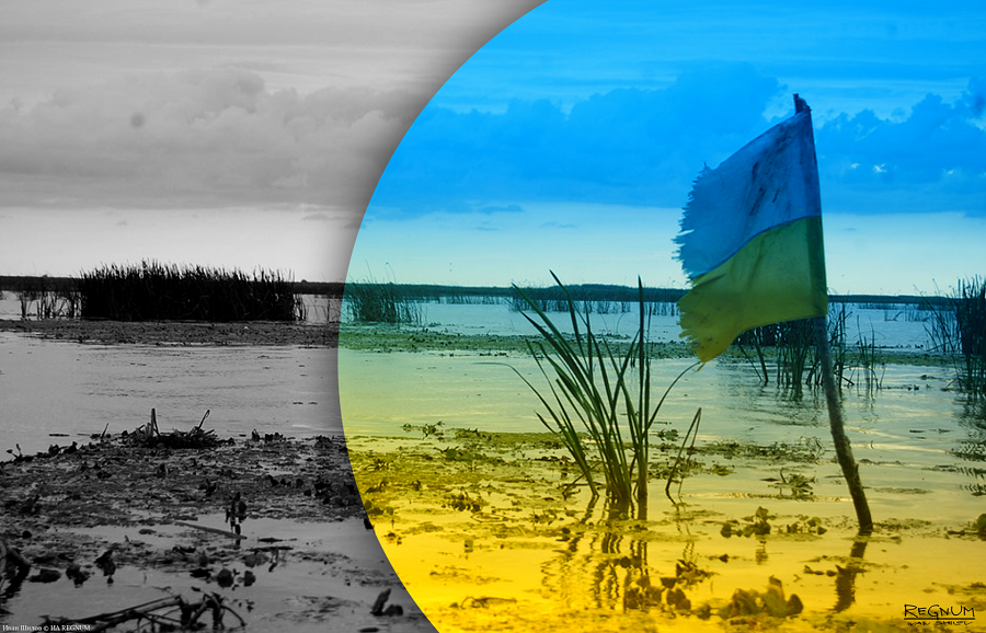    Иван Шилов © ИА Регнум