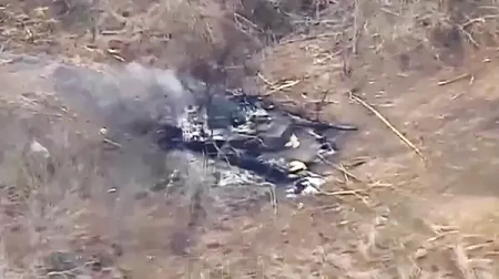 Из цитируемого источника